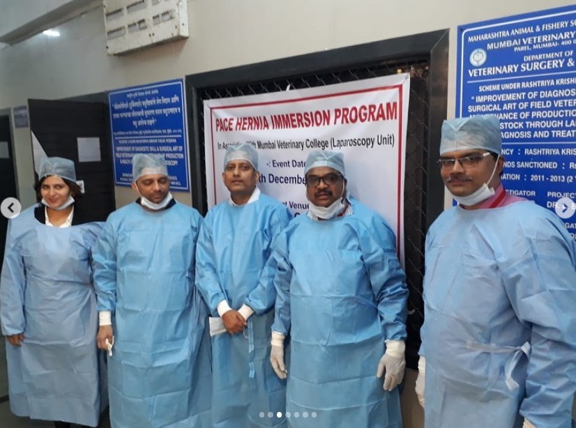 Pace Hernia Immersion Programme 2019